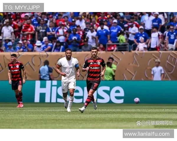 进十六强足球明星的精彩表现与背后故事揭示他们的奋斗与荣耀之路